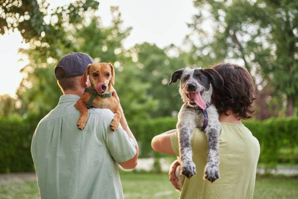 Happy adoption